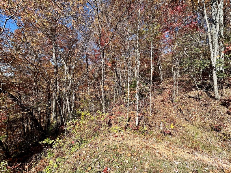 Grizzly Rg #57, Bryson City, NC 28713
