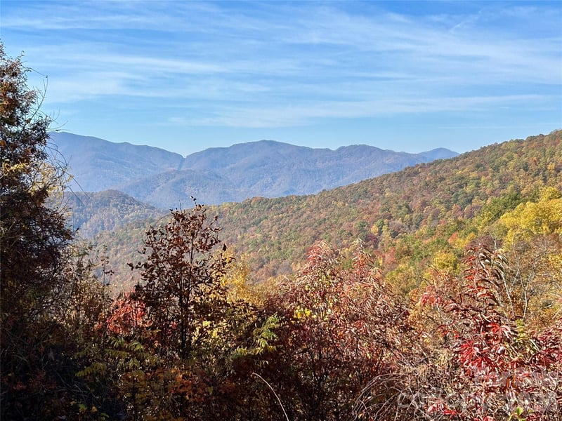 Grizzly Rg #57, Bryson City, NC 28713