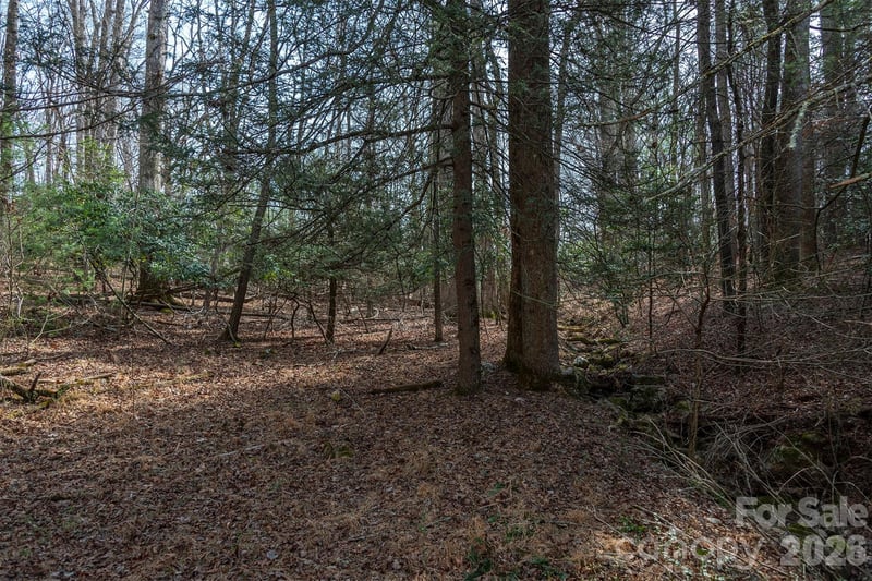 tbd Ball Gap Rd, Arden, NC 28704