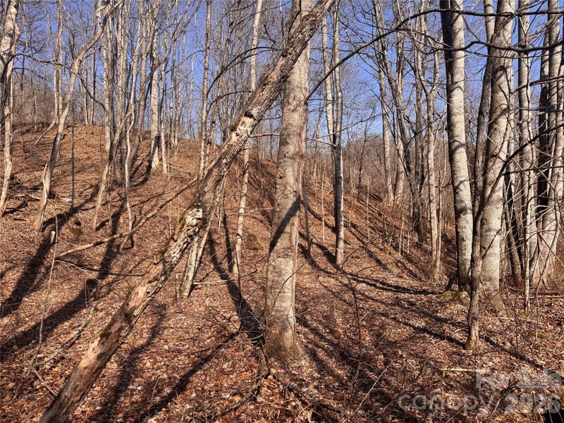 00 Us 19 Hw, Newland, NC 28657