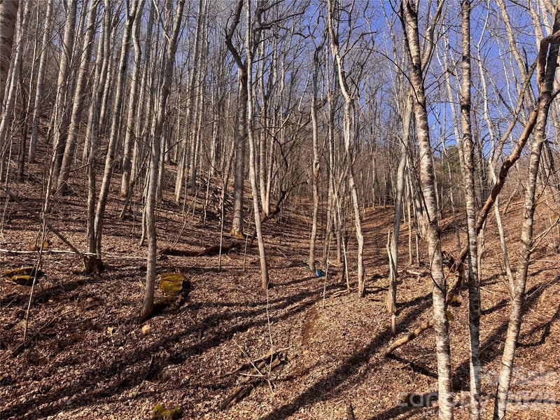 00 Us 19 Hw, Newland, NC 28657