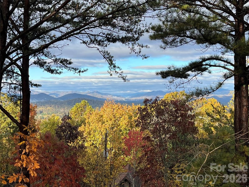 105 Avondale Heights Rd, Asheville, NC 28803