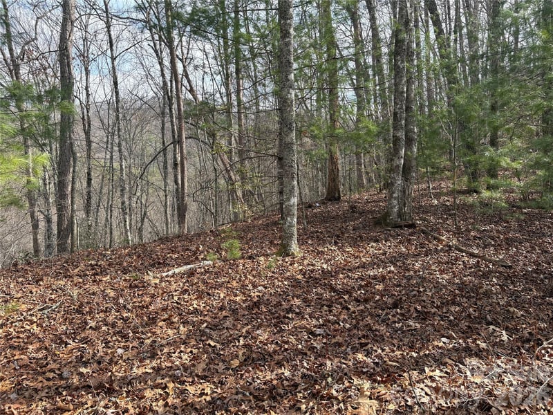 00 Round Hill Rd #14, Bryson City, NC 28713