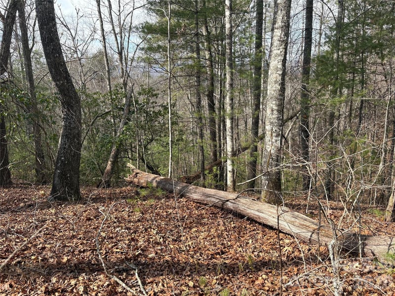 00 Round Hill Rd #14, Bryson City, NC 28713