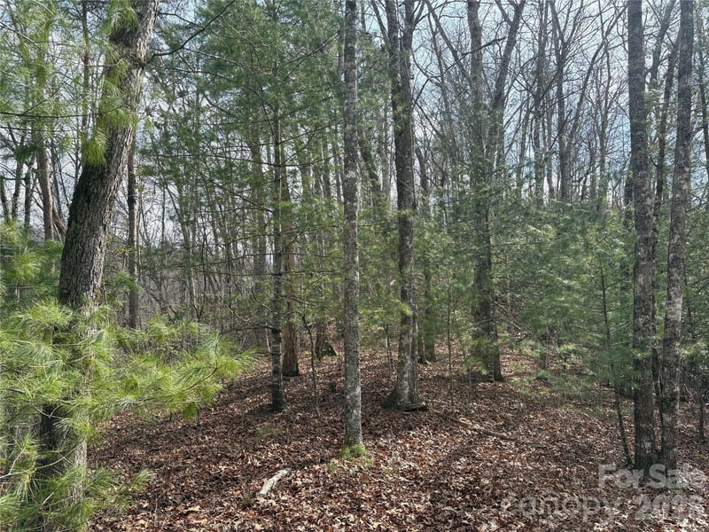 00 Round Hill Rd #14, Bryson City, NC 28713