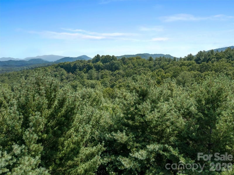 99999 Gordon Ln, Burnsville, NC 28714