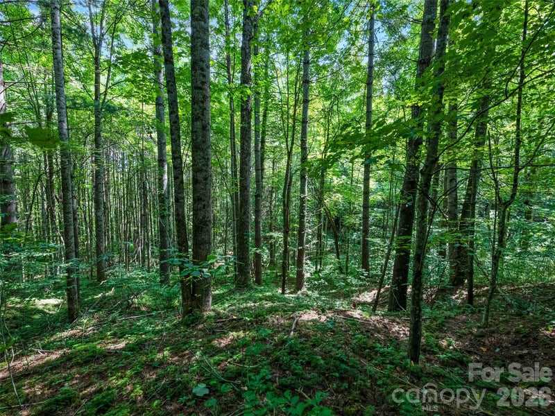 99999 Gordon Ln, Burnsville, NC 28714