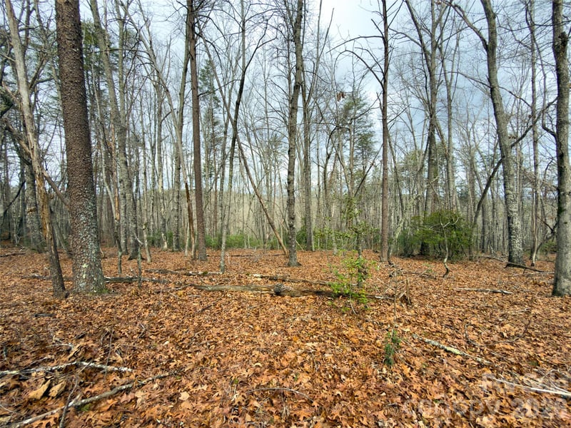 Lots 4-7 Carmel Rg, Rutherfordton, NC 28139