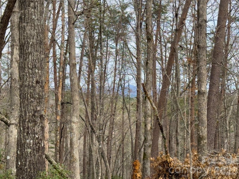 Lots 4-7 Carmel Rg, Rutherfordton, NC 28139