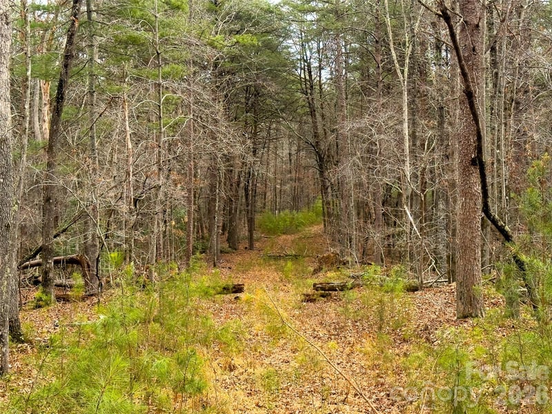 Lots 4-7 Carmel Rg, Rutherfordton, NC 28139
