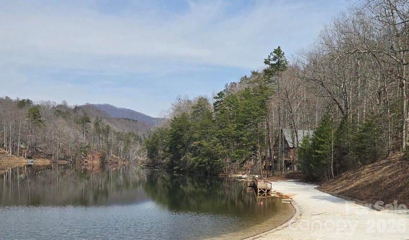 229 Buzzards Pl, Lake Lure, NC 28746