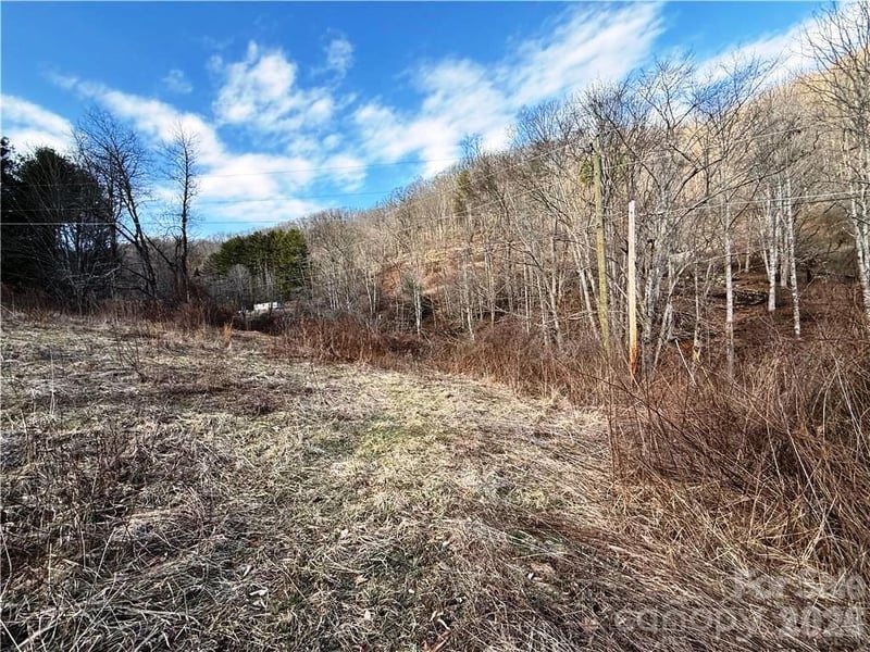 tbd Willard Johnson Rd, Vilas, NC 28692