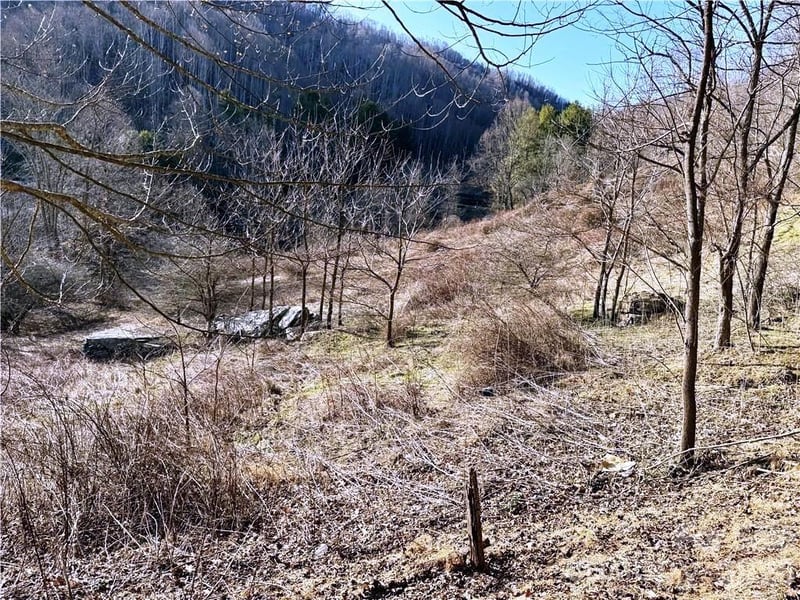 tbd Willard Johnson Rd, Vilas, NC 28692