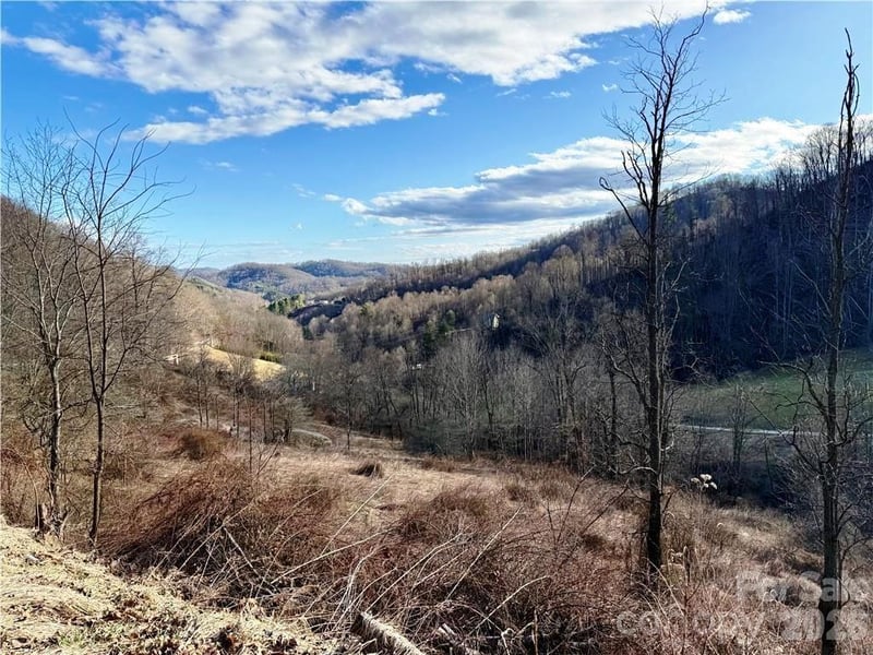 tbd Willard Johnson Rd, Vilas, NC 28692
