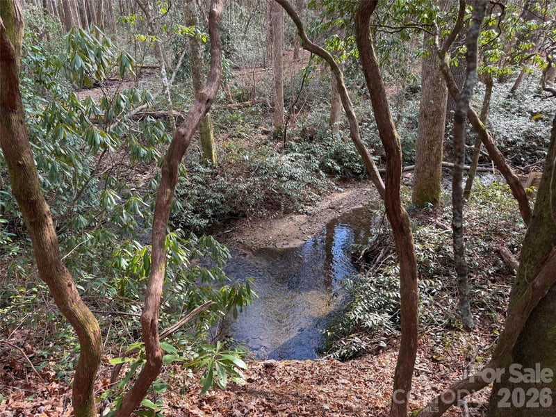 TBD Cherrywood Ln #L-12, Pisgah Forest, NC 28768