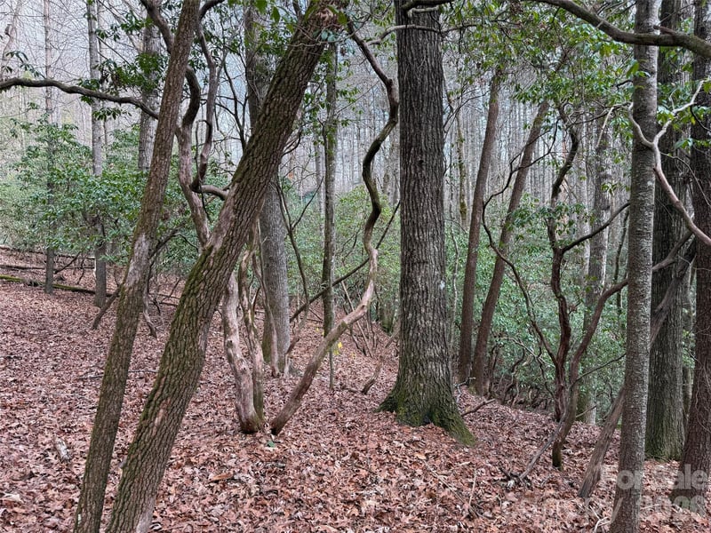 TBD Cherrywood Ln #L-12, Pisgah Forest, NC 28768