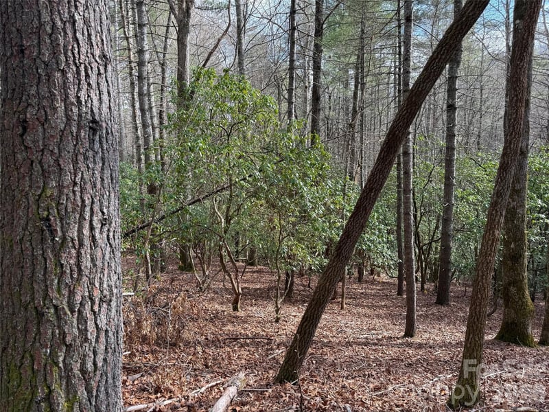 TBD Cherrywood Ln #L-12, Pisgah Forest, NC 28768