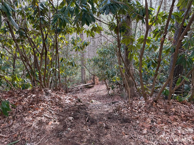 TBD Cherrywood Ln #L-12, Pisgah Forest, NC 28768