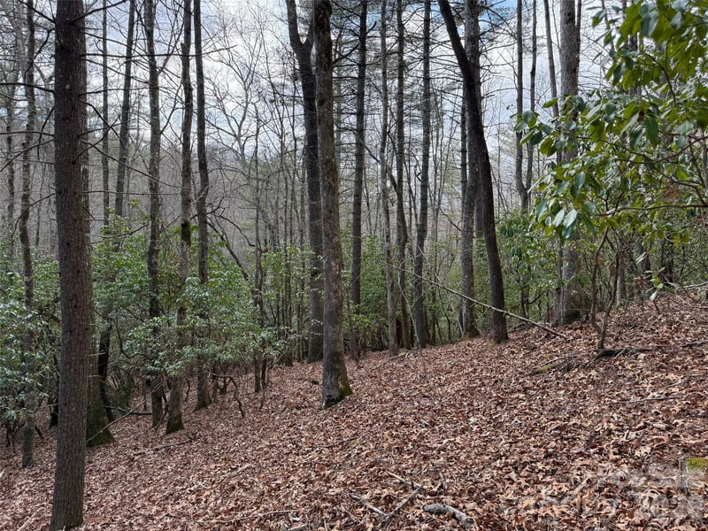 TBD Cherrywood Ln #L-12, Pisgah Forest, NC 28768