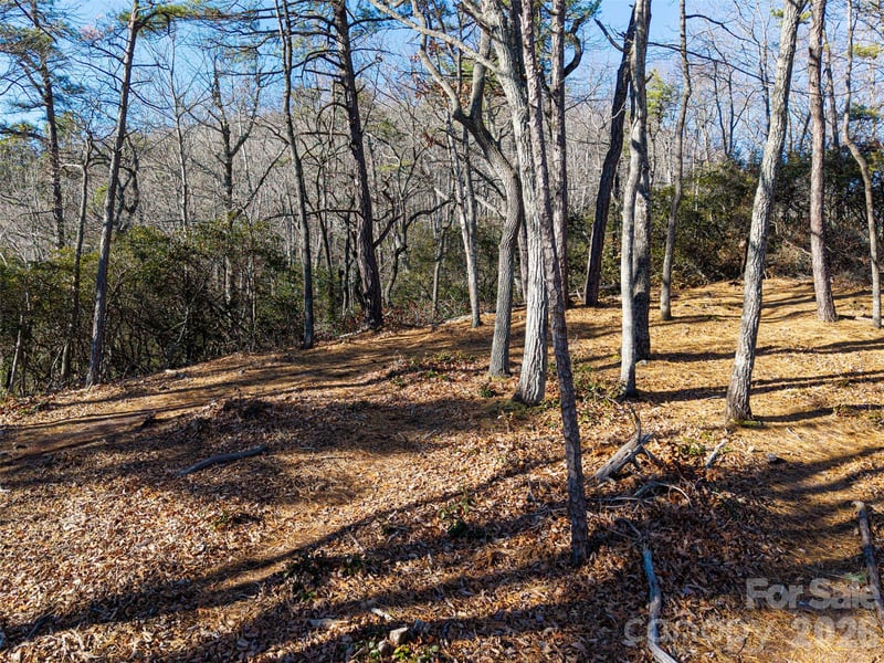 92 Smokey Ridge Trl, Arden, NC 28704
