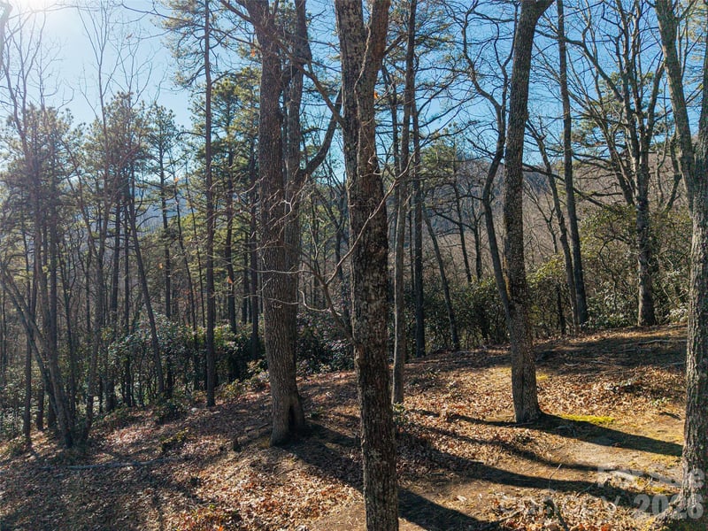 92 Smokey Ridge Trl, Arden, NC 28704