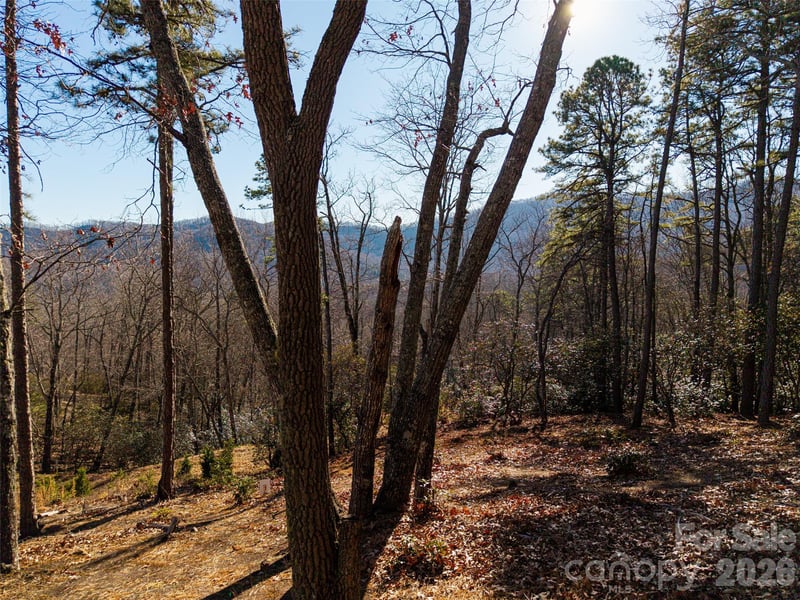 92 Smokey Ridge Trl, Arden, NC 28704