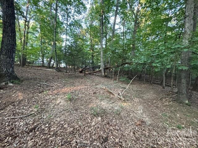 00 Johnson Cir, Lake Lure, NC 28746