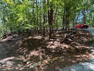 00 Johnson Cir, Lake Lure, NC 28746
