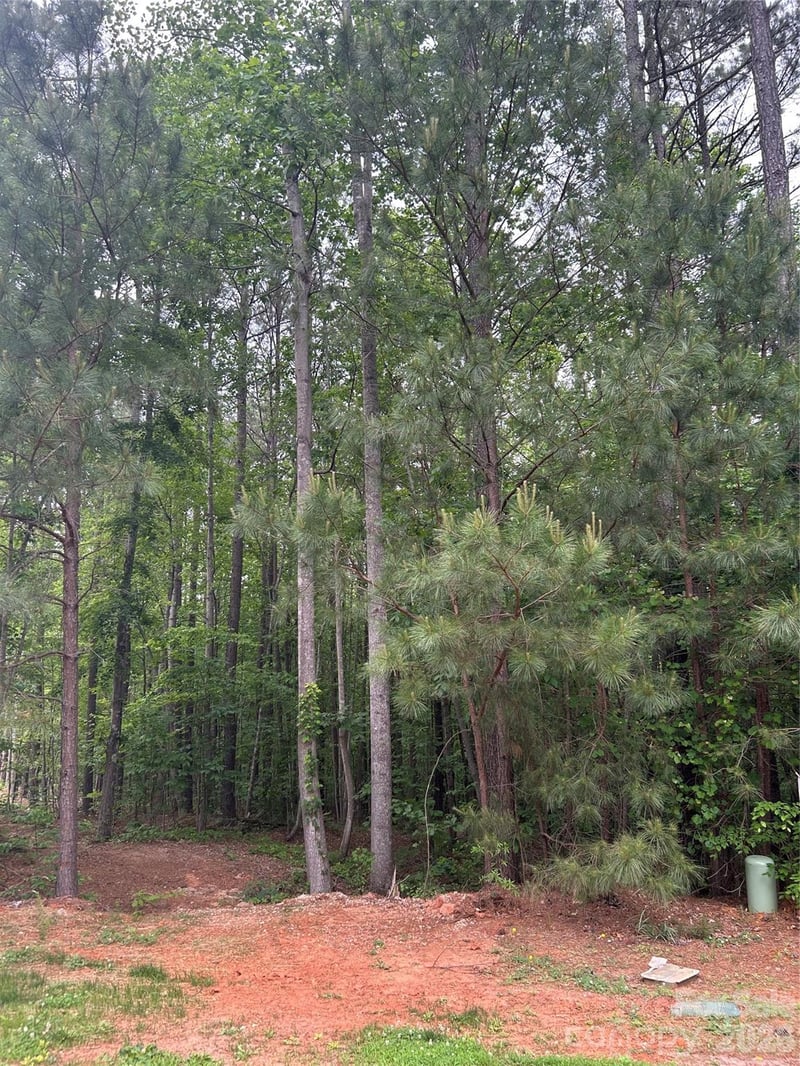 7300 Bay Cove Ct, Denver, NC 28037
