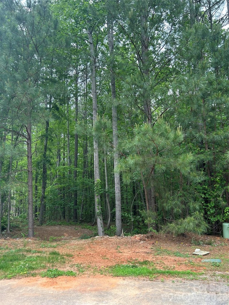 7300 Bay Cove Ct, Denver, NC 28037