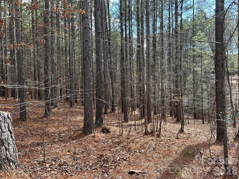 115 Water Oak Way, Mount Gilead, NC 27306