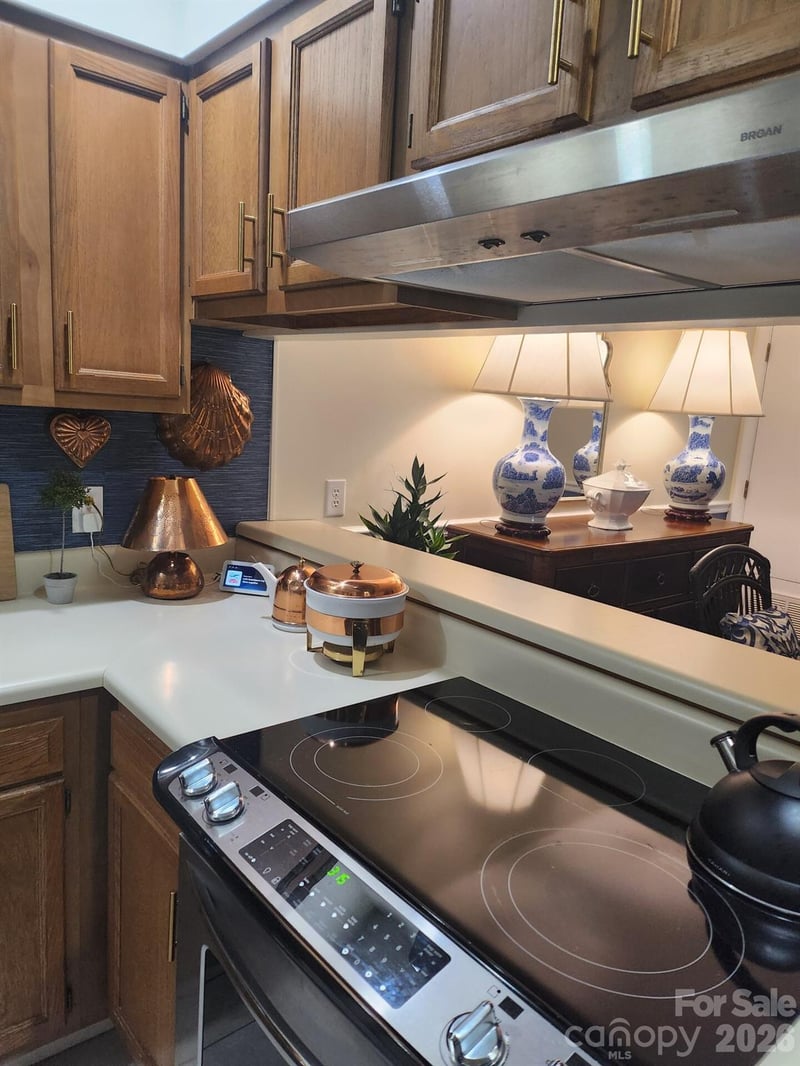 36 Ravencroft Ln, Asheville, NC 28803