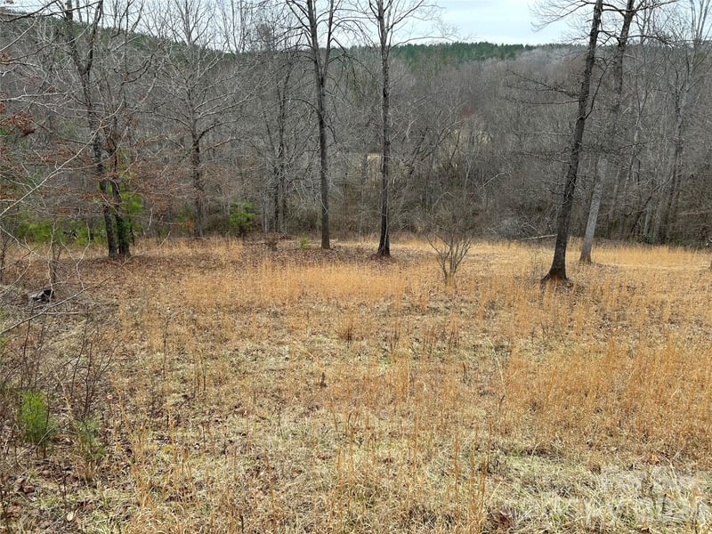 322 Balmy Ln, Rutherfordton, NC 28139