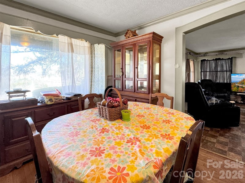 301 Mulberry St, Clyde, NC 28721