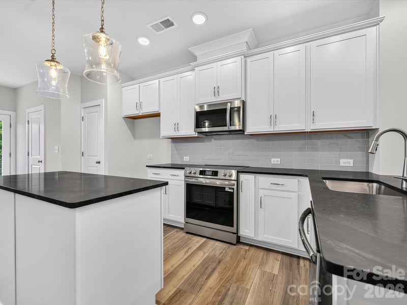 1132 Bismuth Ln, Charlotte, NC 28211