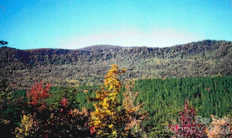 000 Froggyville Ln, Mill Spring, NC 28756