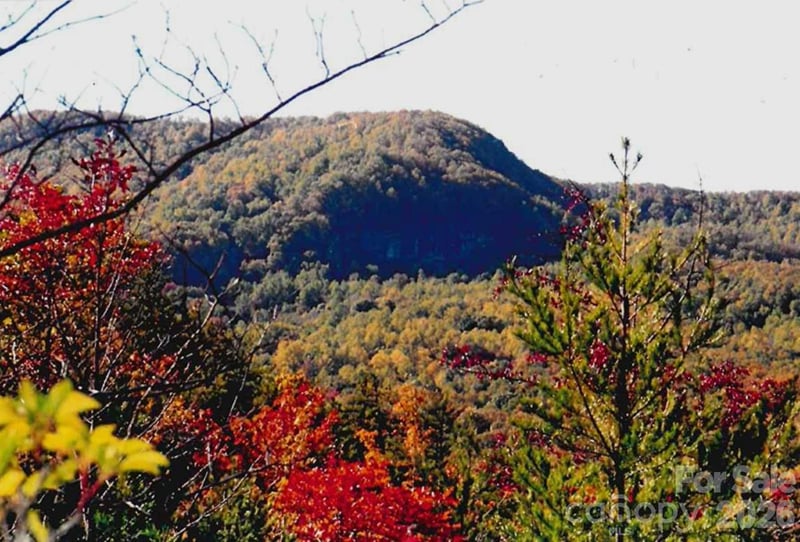 000 Froggyville Ln, Mill Spring, NC 28756