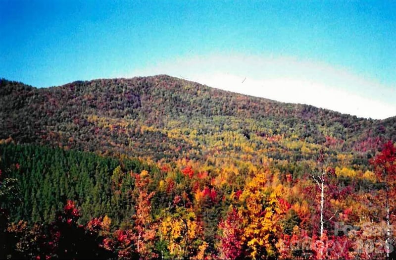 000 Froggyville Ln, Mill Spring, NC 28756