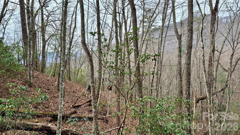 Hollywalk Trl #4, Sylva, NC 28779