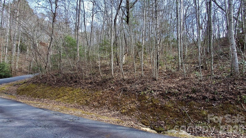 Hollywalk Trl #4, Sylva, NC 28779