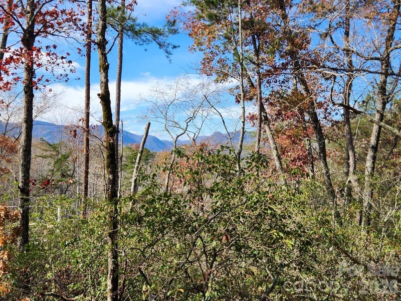 Sparrows Way #46, Lake Lure, NC 28746