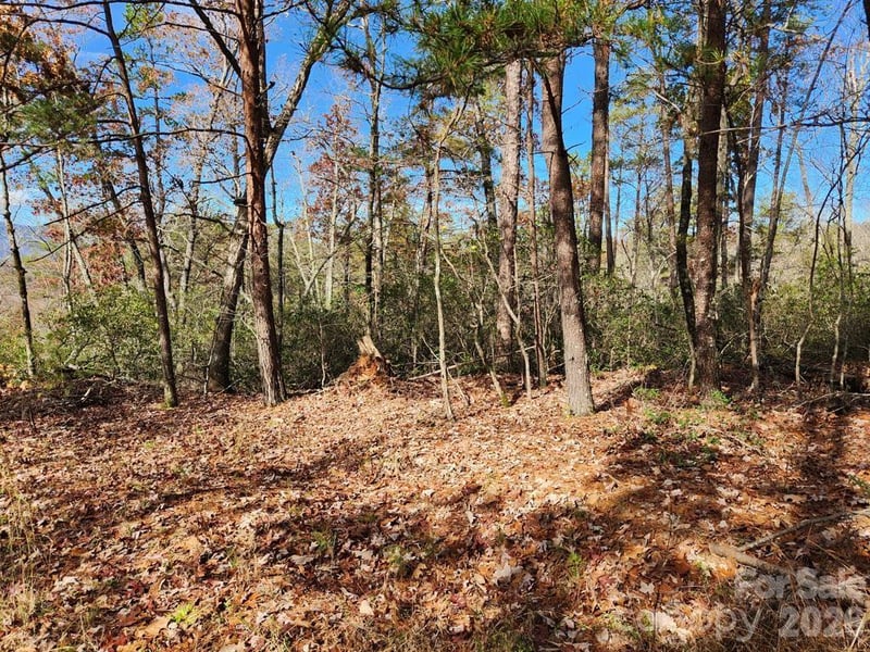 Sparrows Way #46, Lake Lure, NC 28746
