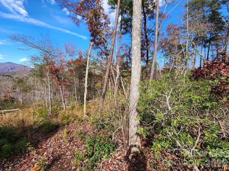 Sparrows Way #46, Lake Lure, NC 28746