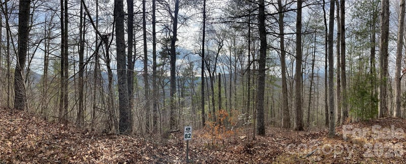 232 Thorncliff Rd #82, Marshall, NC 28753