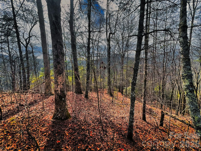 232 Thorncliff Rd #82, Marshall, NC 28753