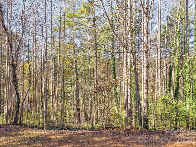 LOTS 14 - 15 Mountain Lake Dr, Hendersonville, NC 28739