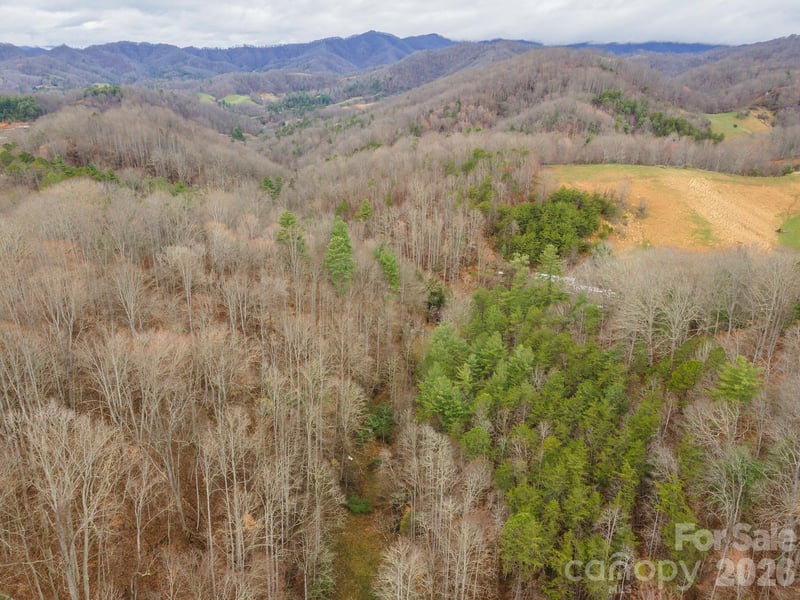 1974 Ammons Branch Rd, Marshall, NC 28753