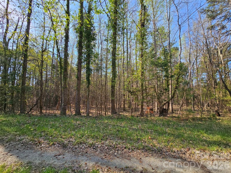 Lot 10 Elliott Rd, Richburg, SC 29729