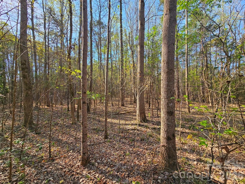 Lot 10 Elliott Rd, Richburg, SC 29729