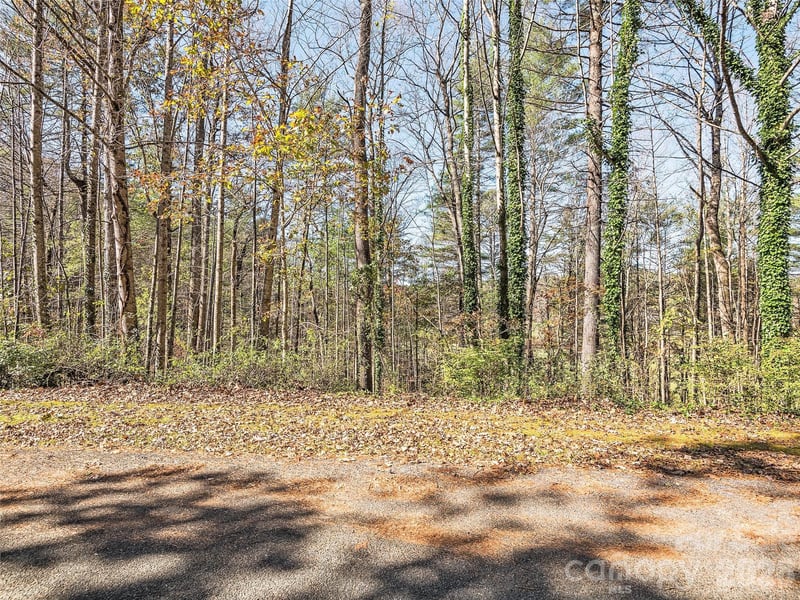 LOT 14 Mountain Lakes Dr #14, Hendersonville, NC 28739